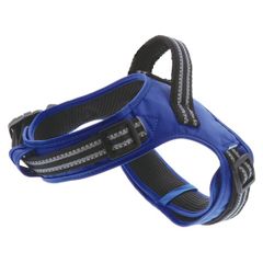 Item thumbnail for item 18546998-f2db-4c19-a668-7f3cd577d478