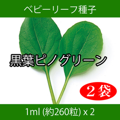 ベビーリーフ種子 B-25 黒葉ピノグリーン 1ml 約260粒 x 2袋