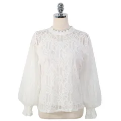 【新品】【新品】花柄刺繍　総レースブラウス チュールブラウス　ホワイトボリュームスリーブ　二の腕カバー　韓国ファッション　ランタン袖　総レース　刺繍レース