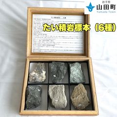 たい積岩標本（6種）　ウチダ　【osw-065】