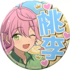 【中古】バッジ・ピンズ 姫宮桃李 応援缶バッジ 6th vol.2 「あんさんぶるスターズ!」