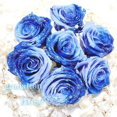ブルーブルーローズ　3輪　花材　プリザーブドフラワー