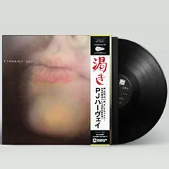 【紙ジャケ】PJ Harvey Demo CD 6枚セット【ほぼ未使用品】 ZIPPO ジッポー ライター ペア DAY OF DEAD SKULLS SET デイオブ