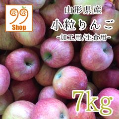 小粒りんご 加工用/生食用 7kg 1599円  山形県産 訳あり家庭用