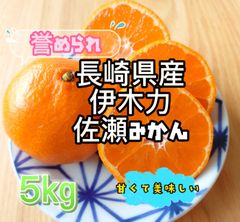 伊木力佐瀬みかん5kg甘くて美味しい♪