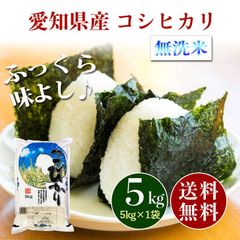 愛知県産 コシヒカリ 無洗米 5kg お米 5キロ 新米