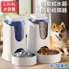 Item thumbnail for item 6d25e21b-49fe-4324-a8cb-6ef649ba7455