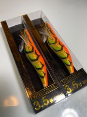 スクイッドマニア　ワイルドチェイス　3.5号　2021年カラー