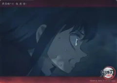 【中古】キャラカード 14.時透無一郎(柱稽古編 最終話 c082) 「WEBSHOPくじ 鬼滅の刃 無限城へと-鬼殺隊- コレクションビッグクリアカード」 