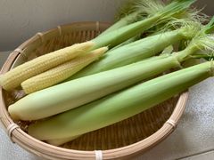 沖縄県久米島産とうもろこし ホワイトコーン 訳あり 約1kg - メルカリ