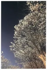 【中古】ポストカード ジヒョ(TWICE) メッセージポストカードB 「CD ZONE(ランダムバーション)」 封入特典