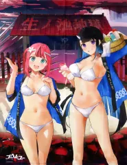 【中古】タペストリー [単品] ようこそ生ノ池地獄のれん 「PS4/Switch/PCソフト ゴーヘルゴー つきおとしてこ 完全生産限定版」 同梱特典