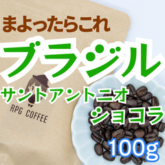 コーヒー豆 自家焙煎 ブラジル ショコラ サントアントニオ 100g