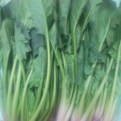 ほうれん草2キロのサムネイル