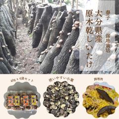 大分県産乾原木しいたけ　160g   (40g x ４)  いっきゅうさん