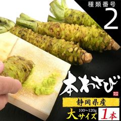 種類2：2本 送料無料 本わさび [約100～120g] 静岡県産 本ワサビ wasabi 薬味 調味料 スパイス 国産 日本産