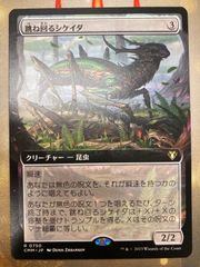MTG アーチリッチ、アサーラック 日本語 - メルカリ