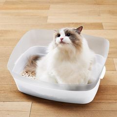 Item thumbnail for item e17634ad-8391-41bc-b6f5-8017039ae7b1