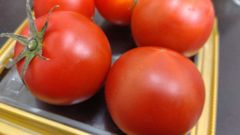フルーツトマトきわみちゃん　300g×2パック