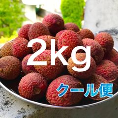 沖縄県産 【訳あり】完熟アップルミニマンゴー2kg 沖縄県産 【訳あり】完熟アップルミニマンゴー2kg - メルカリ