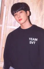 SEVENTEEN 2022 6th FANMEETING CARAT LAND WONWOO トレーディングカード 0019