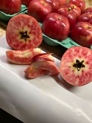 超貴重❗️なかの真紅🍎