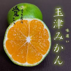 愛媛玉津産　極早生みかん　秀品＋家庭用ランク込み3kg＋生搾りジュース1本無料