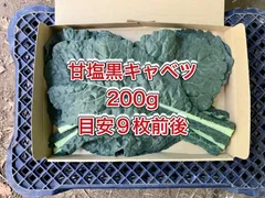 鹿児島産】甘塩カーボロネロ箱込み100g^_^ - メルカリ