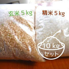 玄米＋白米 ５kgずつセット※箱重量込 福岡県産 夢つくし