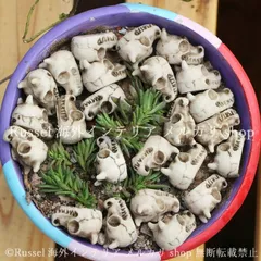 ガーデンオブジェ ドラゴン スカル 20個セット 小さい かわいい 樹脂 庭 ガーデンオーナメント ガーデニング 雑貨 ガーデン雑貨 ガーデンインテリア ガーデン インテリア 庭の装飾 お洒落 おしゃれ 8-14