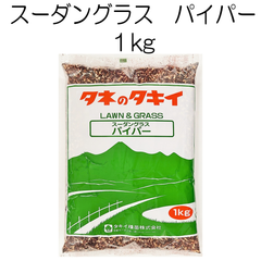 スーダングラス種子　パイパー　1kg　タキイ種苗【種】夏の緑肥
