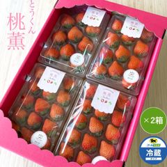 いいネット通販 - 全国送料無料でお届けします Agri charm＊秋吉台いちご園 メルカリShops - 手提げ・レッスンバッグ・入園グッズ