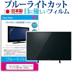 な*り様 PanasonicプライベートビエラUN-19Z1中古・動作品