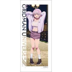 SSSS.GRIDMAN ヴィレッジヴァンガード　新条アカネ　タペストリー 新条アカネ ゲーミングチェア タペストリー ヴィレッジヴァンガード