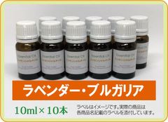ラベンダー・ブルガリア　10ml×10本（アロマストーンプレゼント）