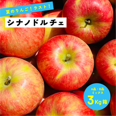 9月16日から9月31日まで発送 指定日不可 「シナノドルチェ3キロ箱A品B品」農林水産大臣賞 長野県産 安曇野 信州産 産地直送
