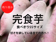 甘党さん集まれ〜！！さつまいも 紅はるかSSサイズ【おやつにピッタリ】２kg