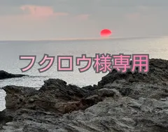 専用です。フクロウ様