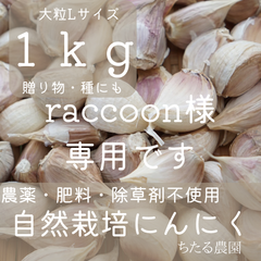 raccoon様専用です❁⃘