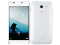 ほぼ新品 DIGNO F 503kc ホワイト Softbank