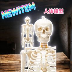 YY様専用です。おしえて! おしゃべりガイコツ - メルカリ
