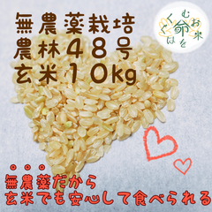 ～命をはぐくむお米～農林48号（玄米10kg）農薬不使用