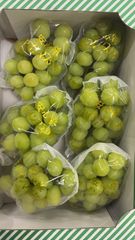 種無しマスカット　セール価格！2Kg シャインマスカット　綺麗　増量【3房〜6房】　送料無料　クール便