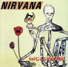 2024年最新】nirvana レア cdの人気アイテム - メルカリ