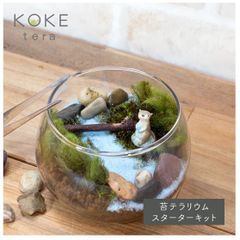 苔テラリウム　手作りキット　カワウソ