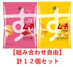【組み合わせ自由】選べる楽しさ！すっぱムーチョ2種 アソート 計12個セット（各6個）のサムネイル