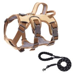 Item thumbnail for item 210185a6-29ec-4ee7-82cb-8dd986244365