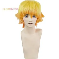 送料込！三分妄想 我妻善逸 セット済みウィッグ＋コスプレ衣装