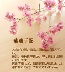 emi様 リクエスト 2点 まとめ商品 - メルカリ