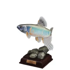 2025年最新】ネイチャーテクニカラー日本の清流の人気アイテム - メルカリ